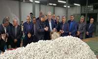  نشست معاون وزیر جهاد کشاورزی با مهندس کوچکی‌نژاد برای احیای صنعت نوغانداری در گیلان