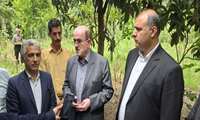بازدید دکتر حبیب‌اله رضادوست رئیس مرکز توسعه نوغانداری کشور به همراه مهندس لاهوتی، نماینده شهرستان لنگرود، و دکتر گلشن فرماندار شهرستان لنگرود از واحدهای پرورش کرم ابریشم بخش شلمان