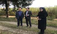بازدید معاون وزیر در امور تولیدات دامی از اداره نوغانداری مازندران
