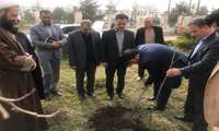 برگزاری مراسم روز درختکاری در فرمانداری لنگرود